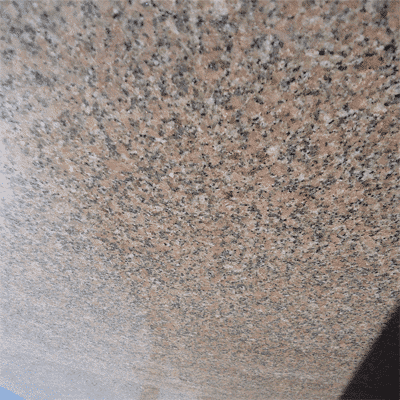 rosa howdy tiles